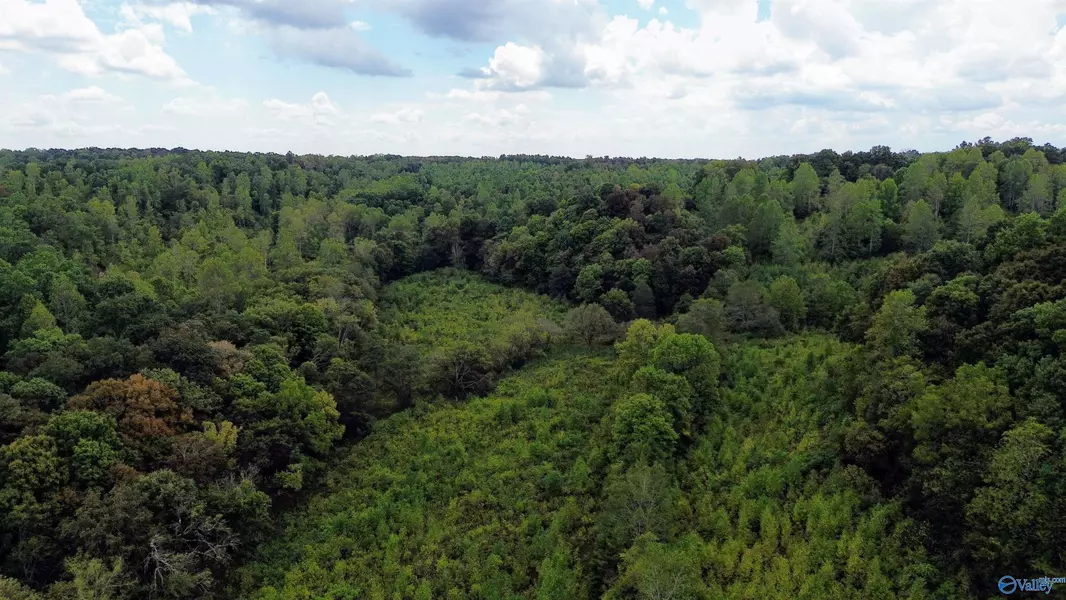 Lot 1 Salem Minor Hill Road, Lester, AL 35647