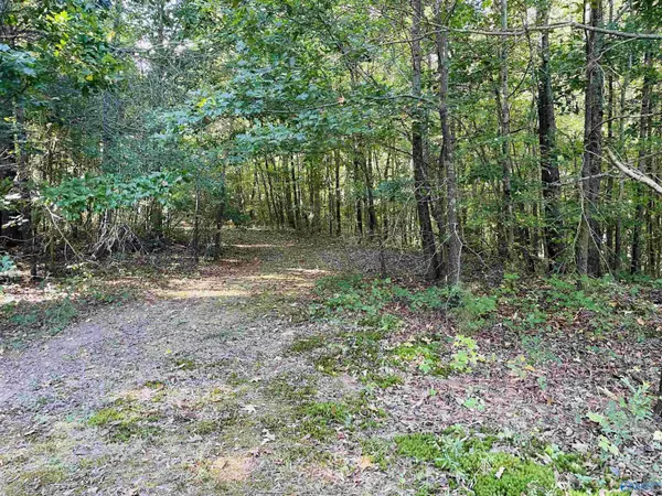 Langston, AL 35755,21.5 ac Old Hwy 227
