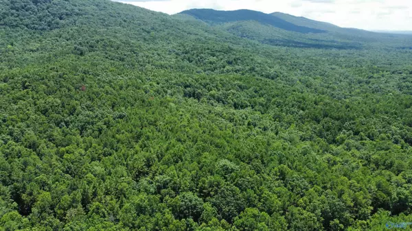 Piedmont, AL 36272,11.54 Acres Tuckaway Lane