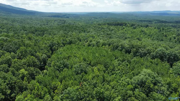 Piedmont, AL 36272,11.54 Acres Tuckaway Lane