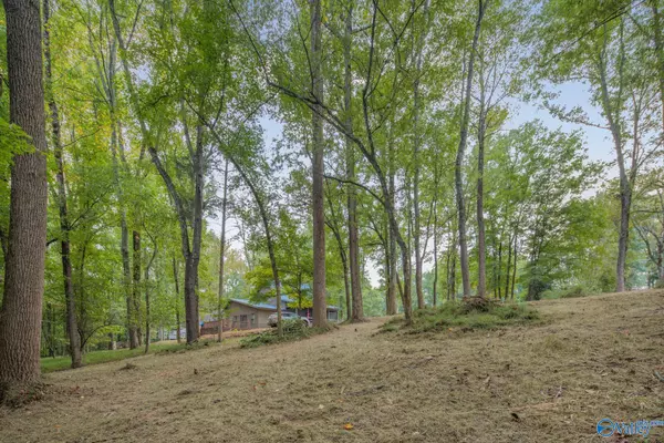 Elkmont, AL 35620,Lot 6, Block 4 Sulpher Creek