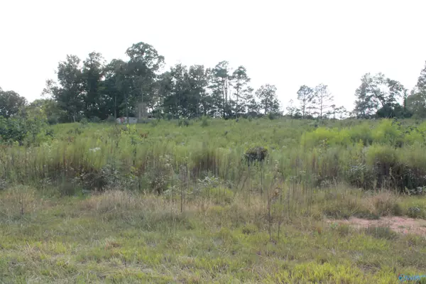 Lot 3 Union Hill Church Road, Falkville, AL 35622