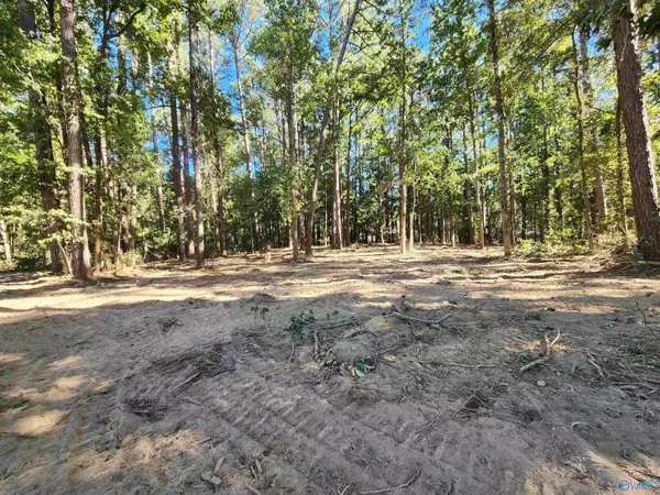 Lot 2 Dogwood Drive, Laceys Spring, AL 35754