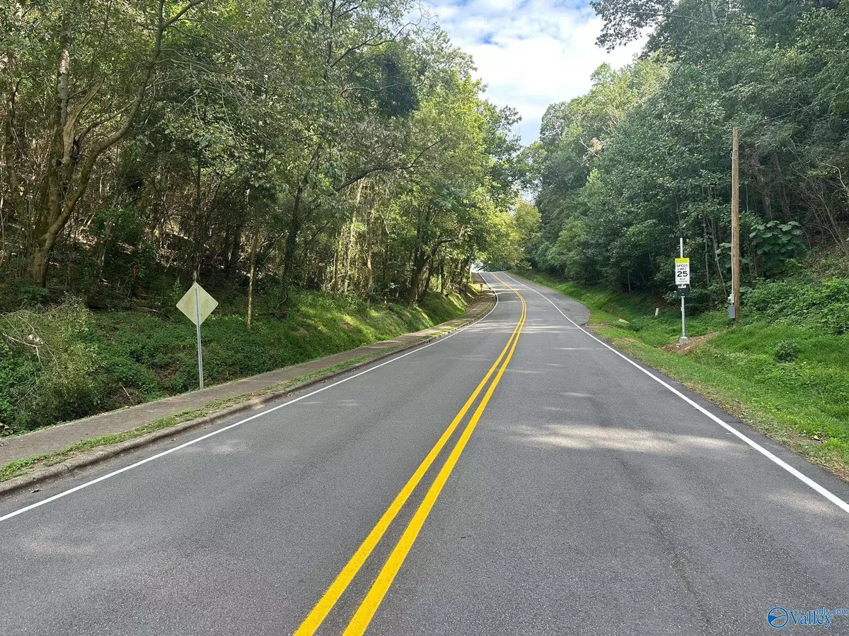 Guntersville, AL 35976,Lot 11 Lusk Street