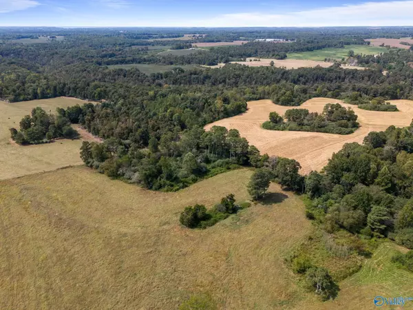 Fyffe, AL 35971,3571 County Road 538