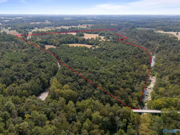 3571 County Road 538, Fyffe, AL 35971