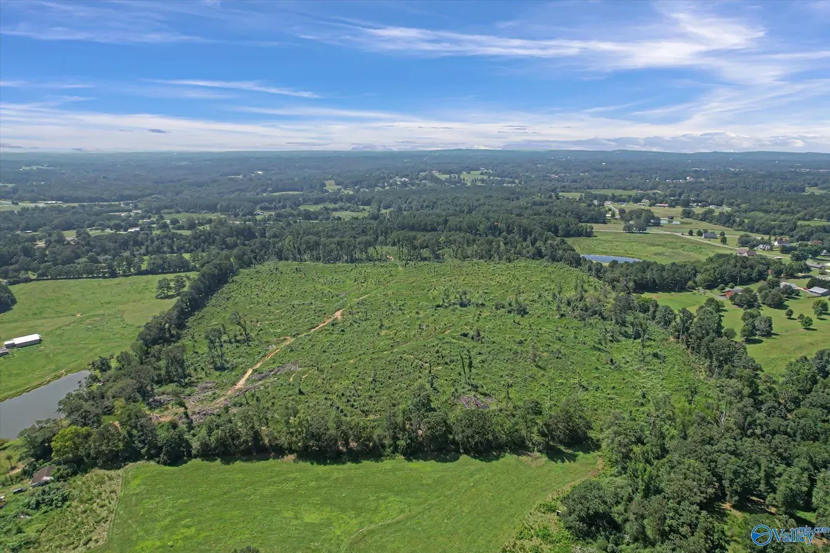 Boaz, AL 35957,69+/- Acres Beulah Road