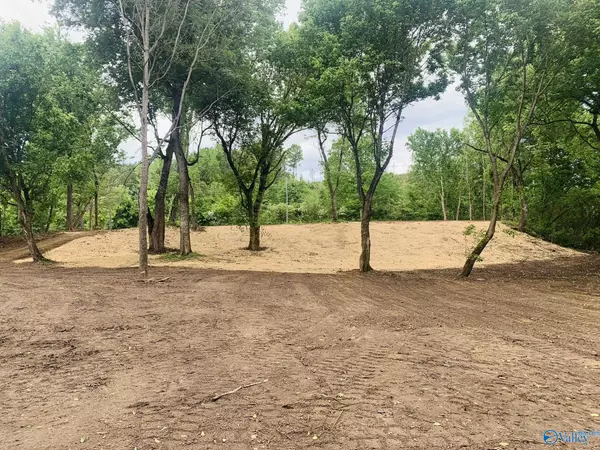 Lot 5 & 6 Morrow Street,  Guntersville,  AL 35976