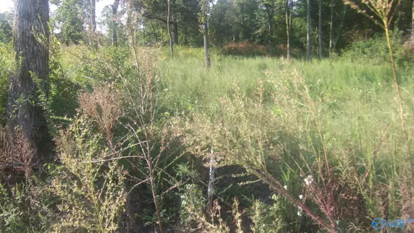 Geraldine, AL 35974,5331 County Road 9