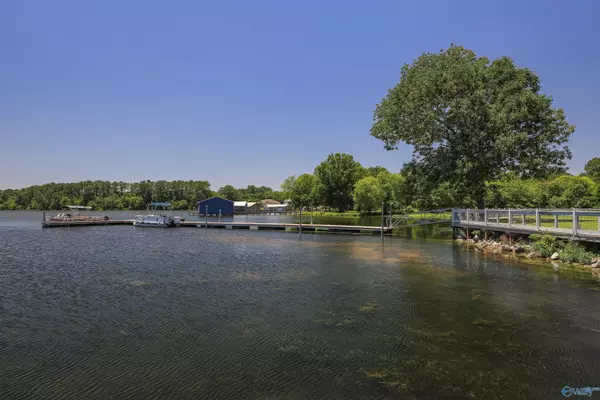 Langston, AL 35755,10174 County Road 67 #LOT 56