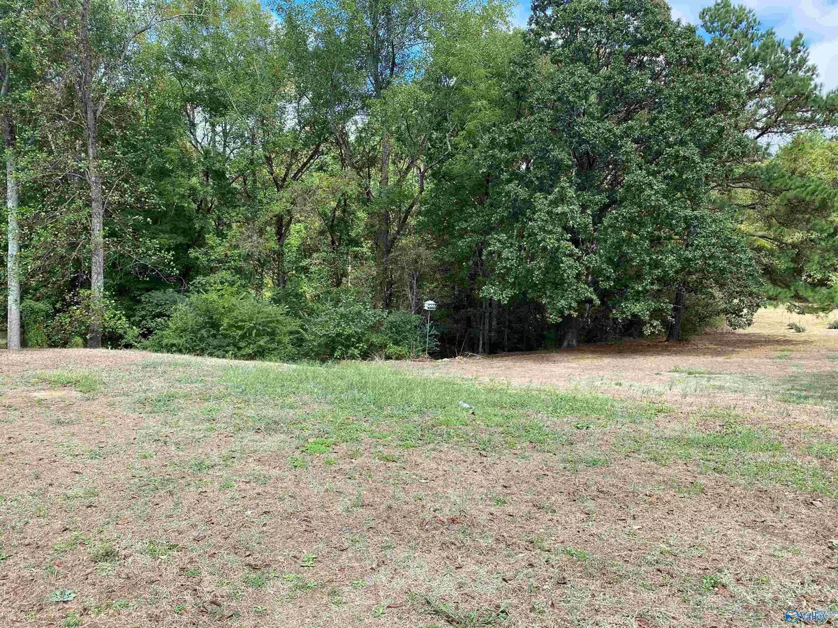 Somerville, AL 35670,1 Acre Highway 67