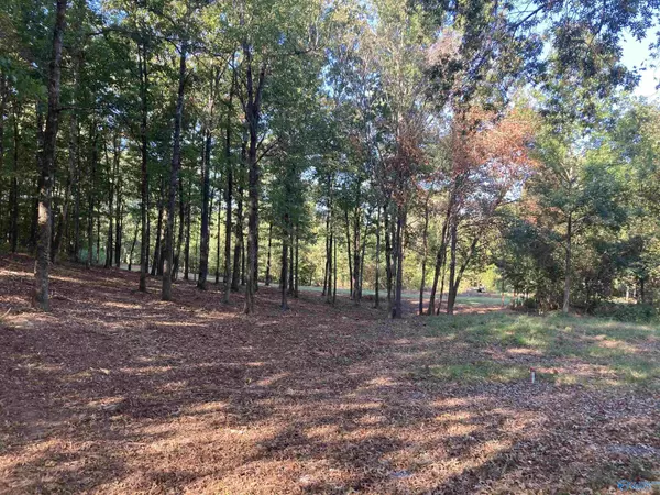 Gadsden, AL 35905,5 Eagles Fair