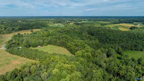 20.3 Acres County Road 589, Henagar, AL 35978