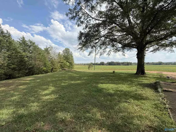 Moulton, AL 35650,1667 County Road 164