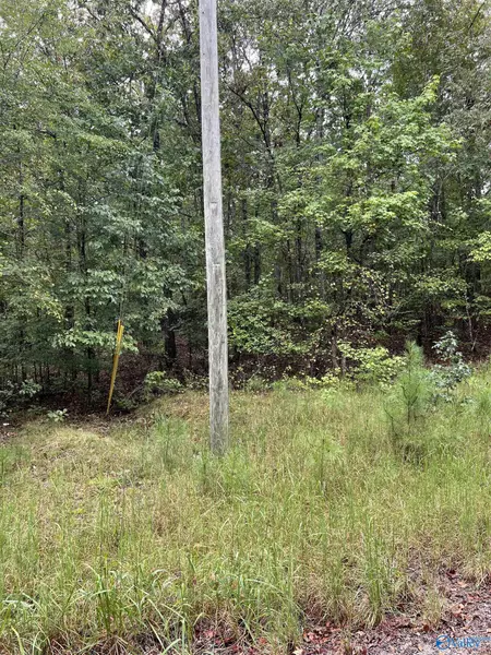 1231 Red Eagle Road, Ohatchee, AL 36271