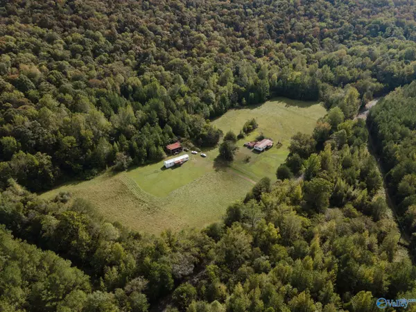 Hollytree, AL 35751,3614 County Road 4