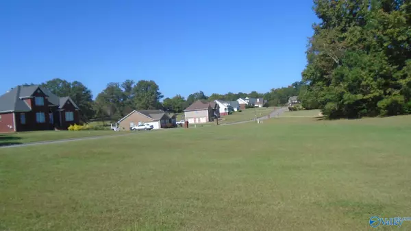 Lincoln, AL 35096,40 Willow Creek Drive