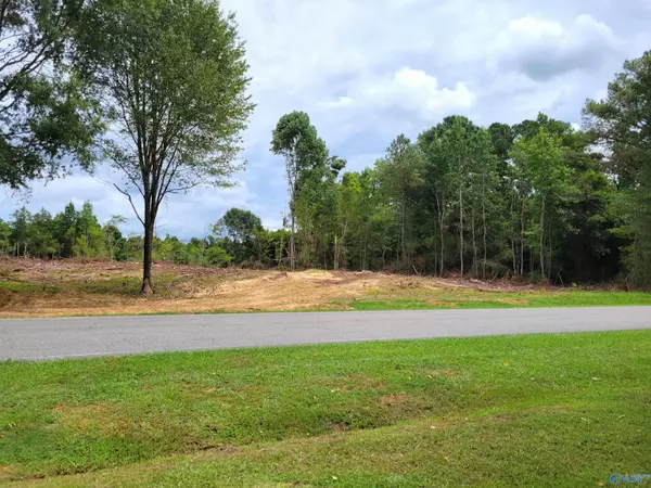 6.35 Acres College Drive NE, Hanceville, AL 35077