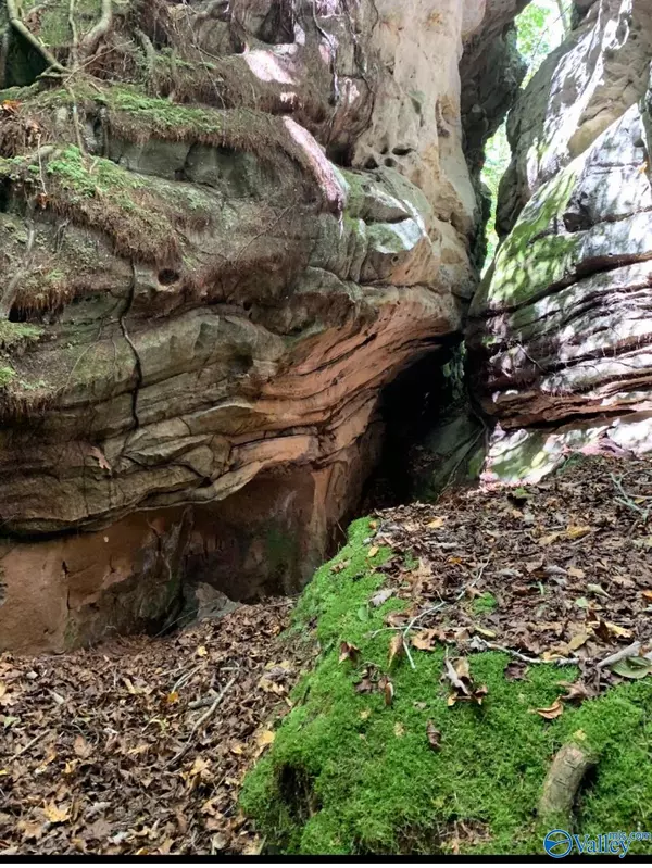 Fort Payne, AL 35957,Lot 11 Bear Creek Trail