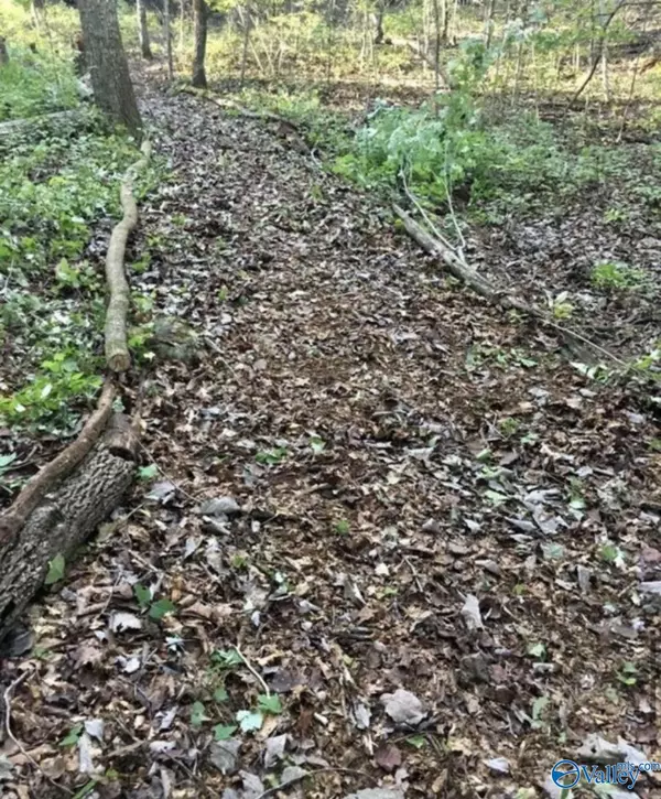 Fort Payne, AL 35957,Lot 11 Bear Creek Trail