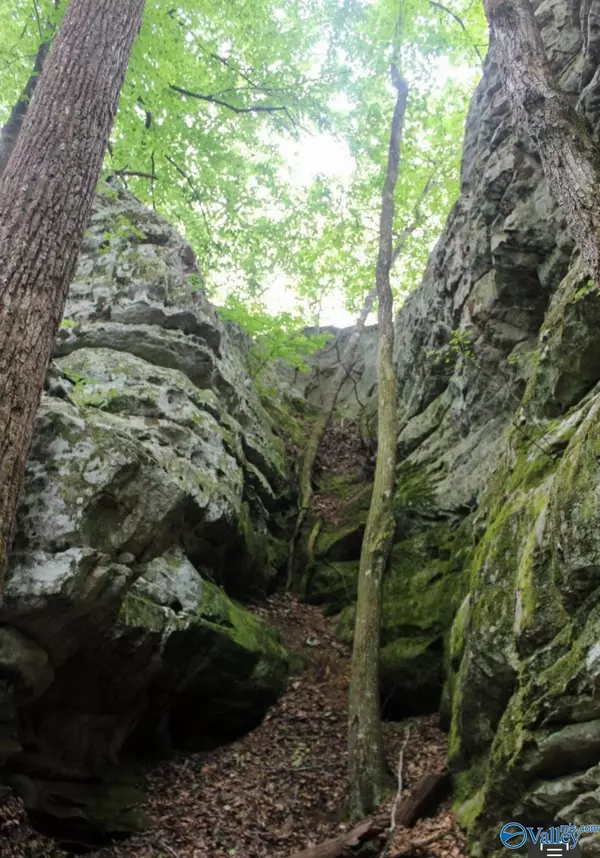 Fort Payne, AL 35957,Lot 11 Bear Creek Trail