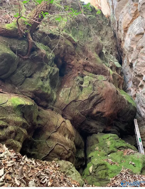 Fort Payne, AL 35957,Lot 11 Bear Creek Trail