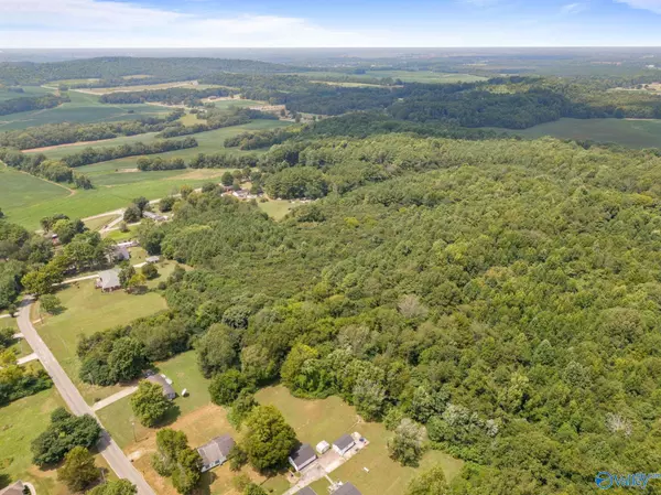 Toney, AL 35773,11 Acres Carters Gin Road