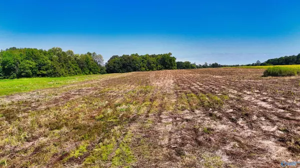 Hazel Green, AL 35750,10.1Acres Manley Road
