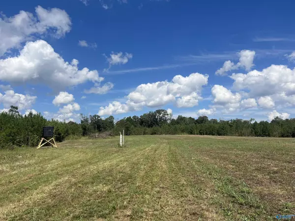 140 +/- acres Highway 157, Leighton, AL 35646