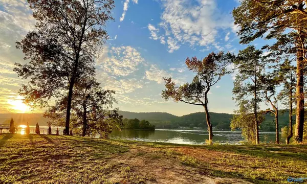 2784 Lake Forest Court,  Southside,  AL 35907