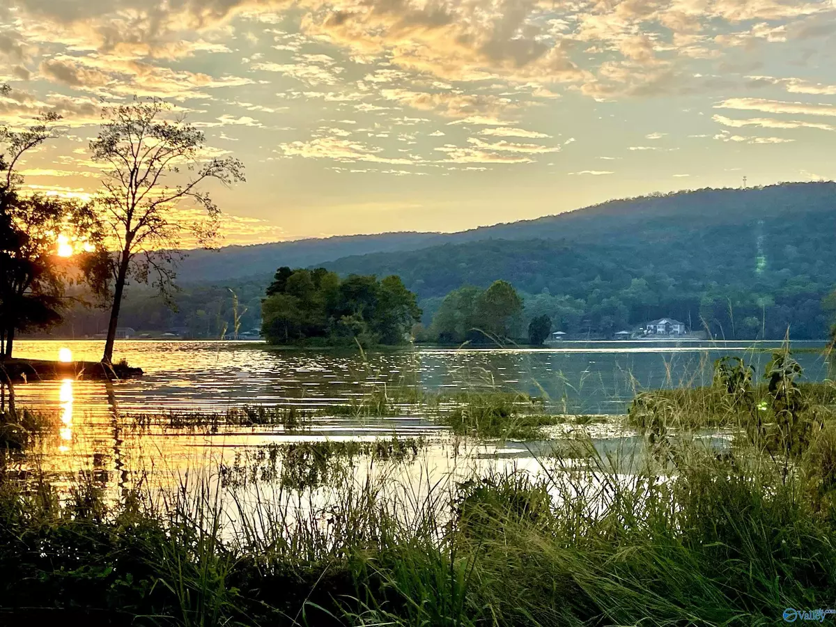 Southside, AL 35907,2842 Lake Forest Court