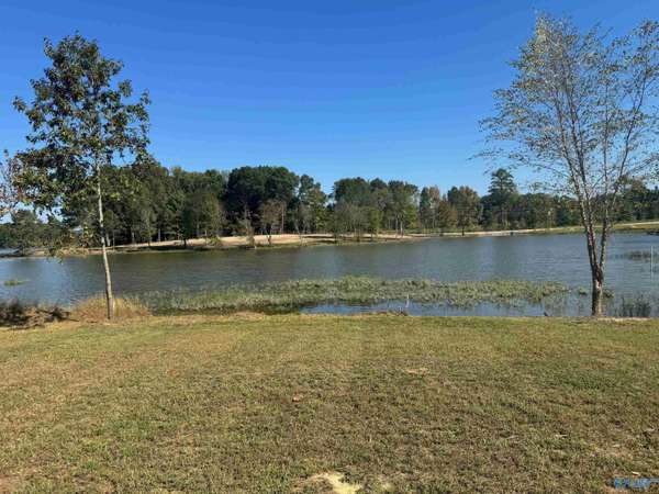 44 County Road 115, Cedar Bluff, AL 35959