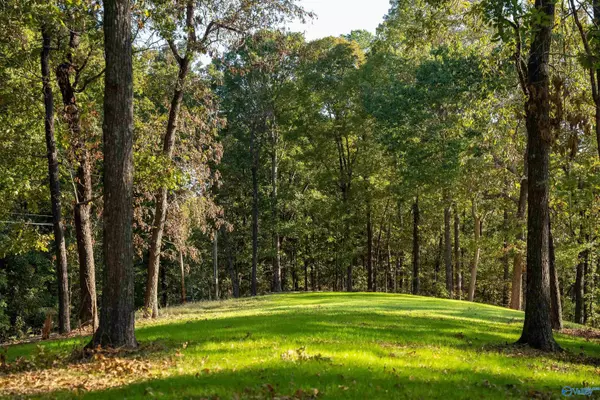 Scottsboro, AL 35769,2713 Preston Island Circle