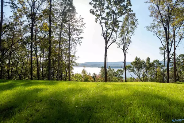 Tract 3 Preston Island Circle, Scottsboro, AL 35769