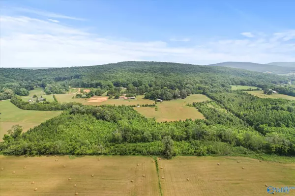 New Market, AL 35761,2155 Hurricane Road