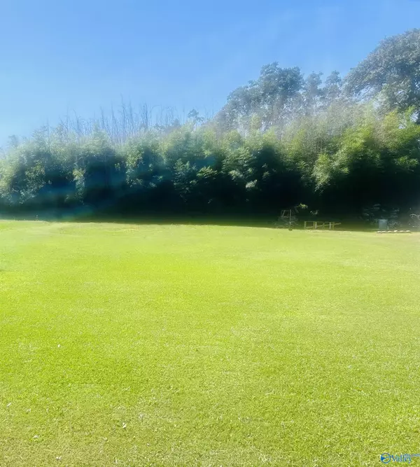 Cullman, AL 35055,1 Acre Marie Street