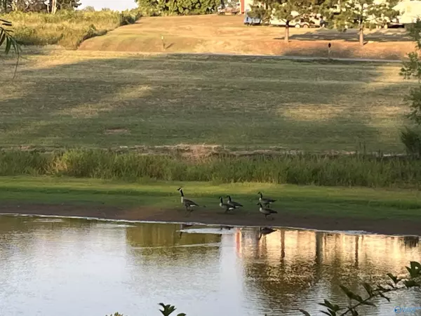 Athens, AL 35611,19660 Cox Road