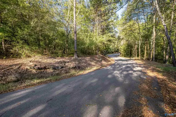 20 AC Hinds Road, Gadsden, AL 35904