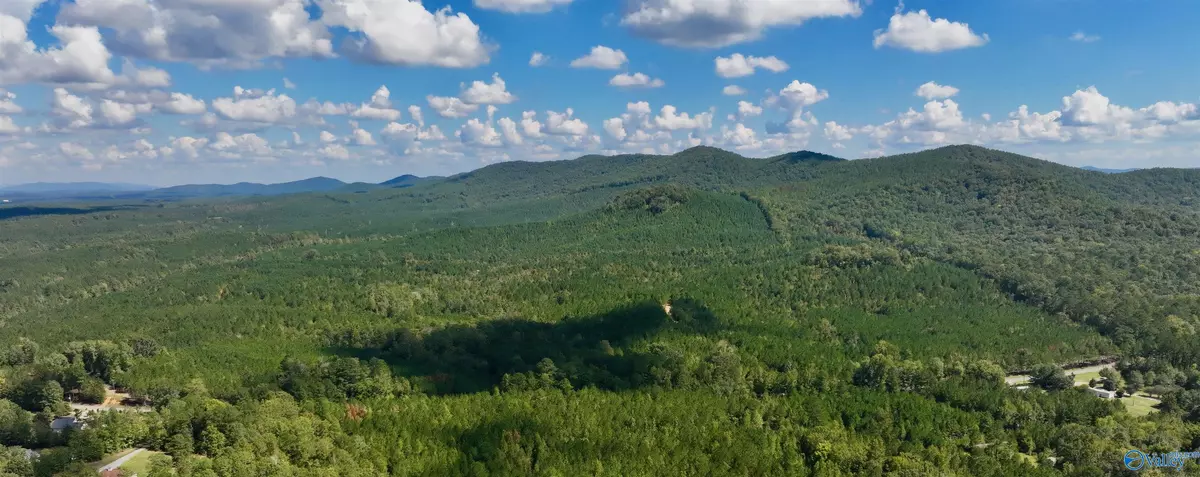 Talladega, AL 35160,89 Acres Concord Church Road