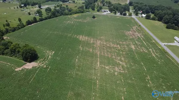 Section, AL 35771,Lot 8 County Road 68