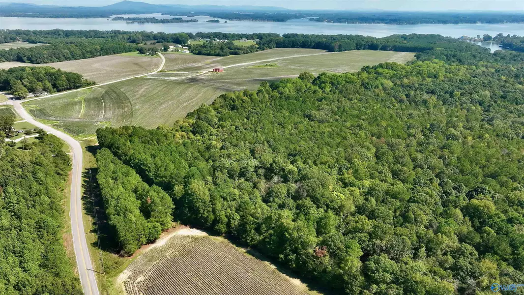 50 acres Northwood Drive, Centre, AL 35960