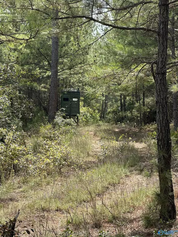 Gadsden, AL 35904,10464-A Tabor Road