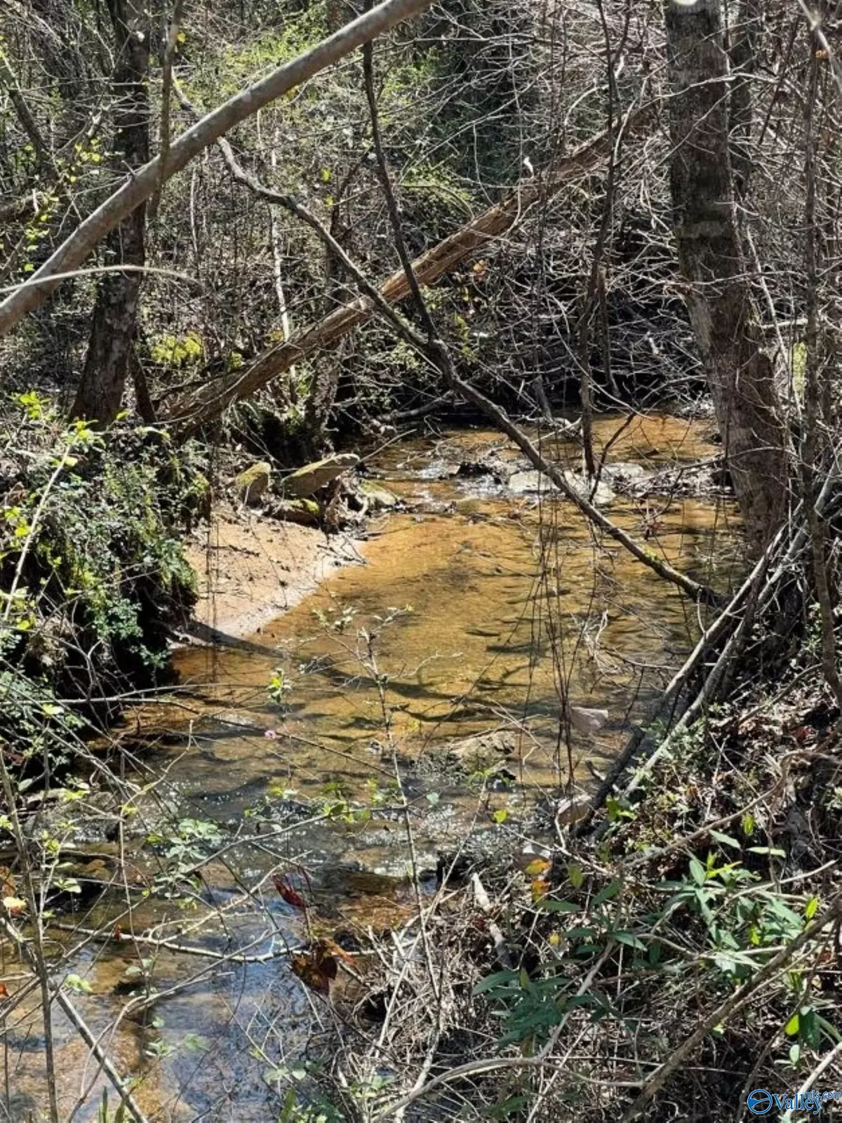 Gadsden, AL 35904,10464-A Tabor Road