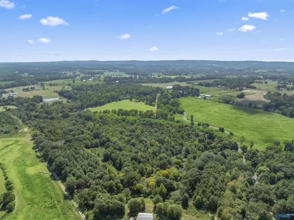 Horton, AL 35980,26.53 acres Strange Road