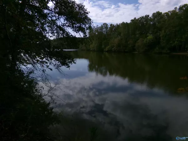 Gadsden, AL 35961,Pin# 25174 Tidmore Bend Road