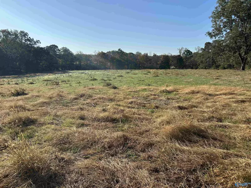 80.11ac County Road 367, Albertville, AL 35951