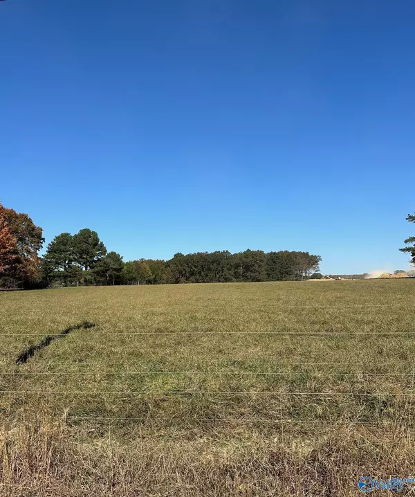 24295 (1) Drawbaugh Road, Athens, AL 35613