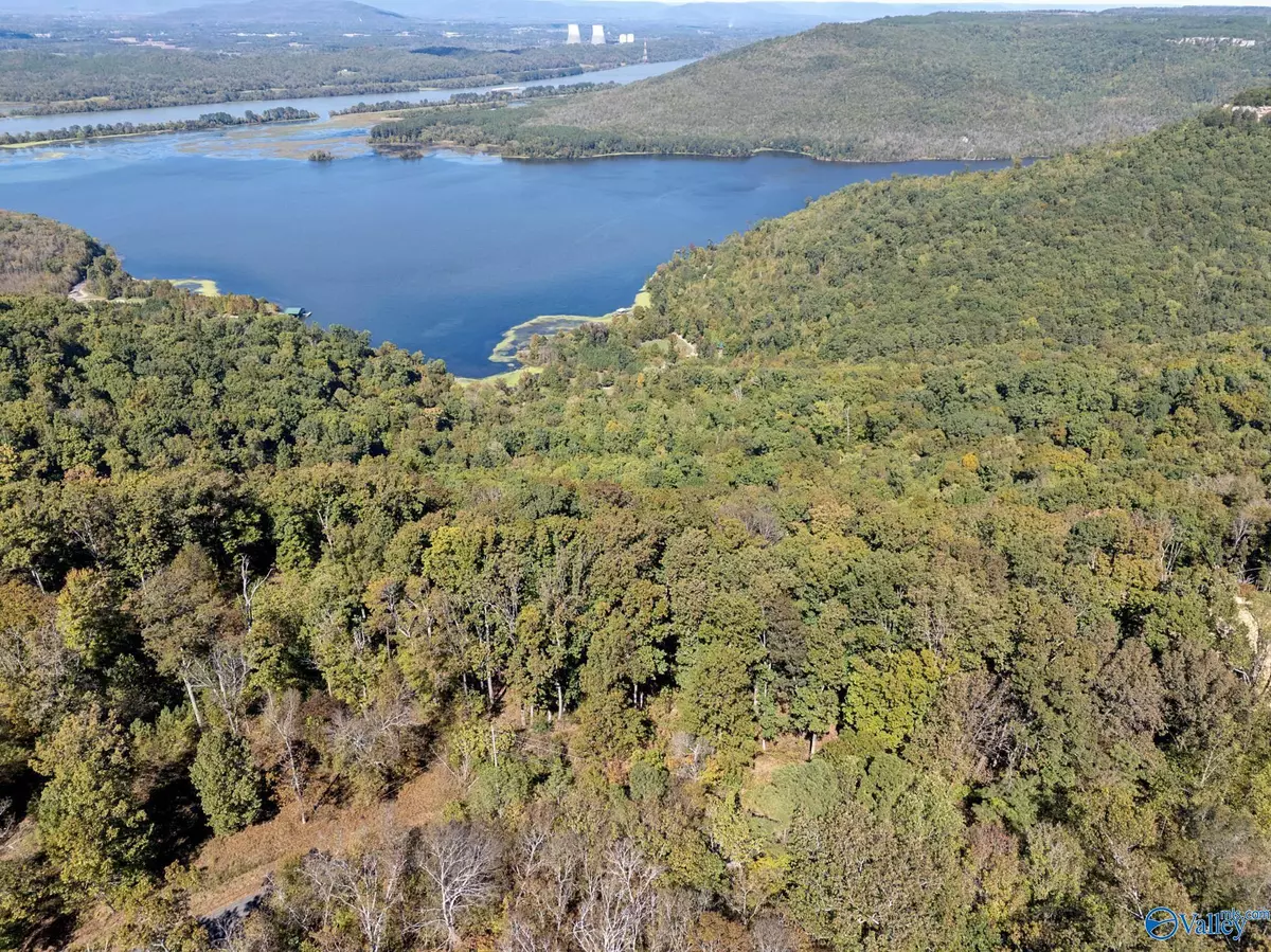 Dutton, AL 35744,Lot 2 County Road 224