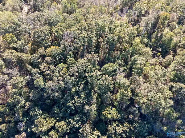 Dutton, AL 35744,Lot 3 County Road 224