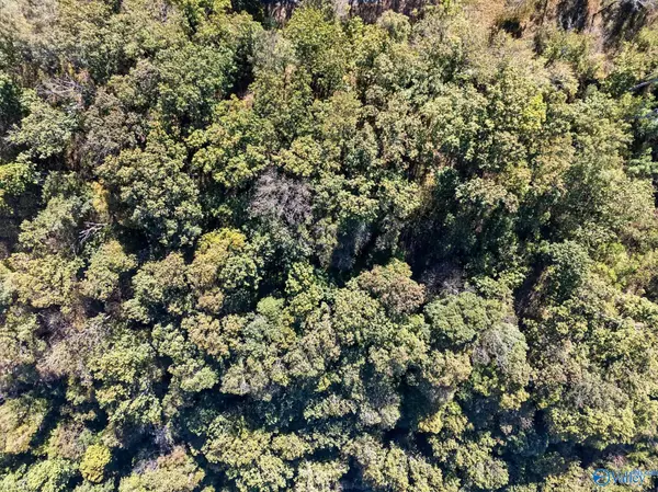 Dutton, AL 35744,Lot 3 County Road 224